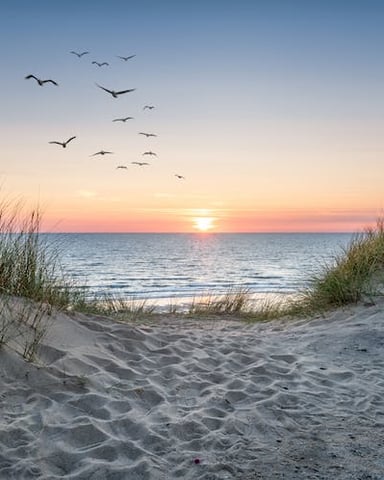Steps From The Gulf